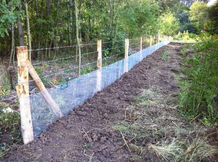 Réparation et vente de piquet en bois Aubigné-sur-Layon