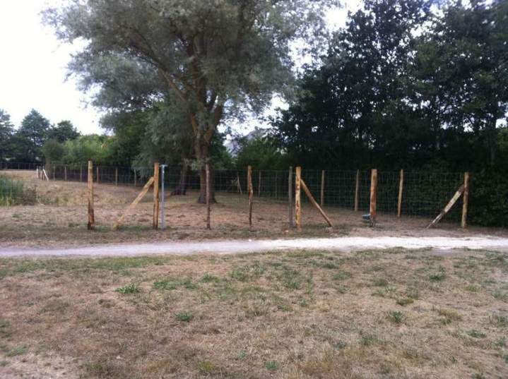 Fournisseur et réparateur de piquets en bois Aubigné-sur-Layon