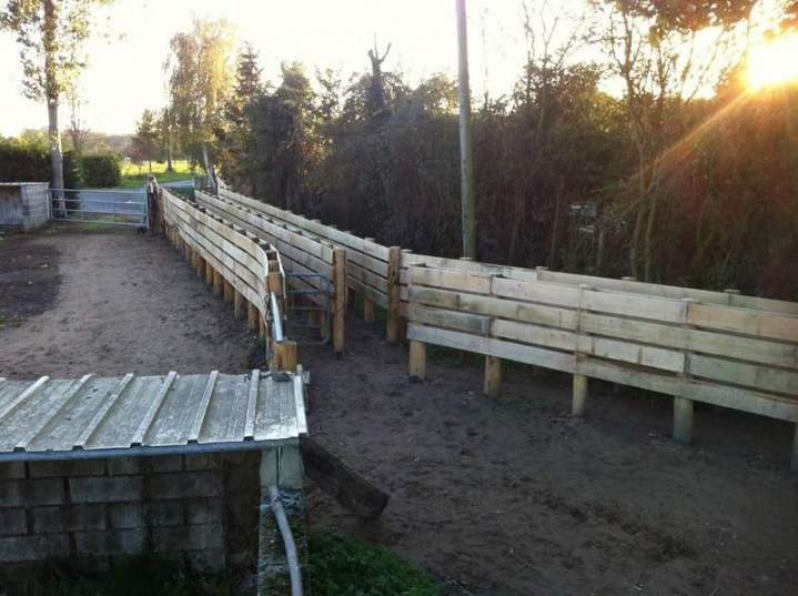 Fournisseur et réparateur de piquets en bois Aubigné-sur-Layon