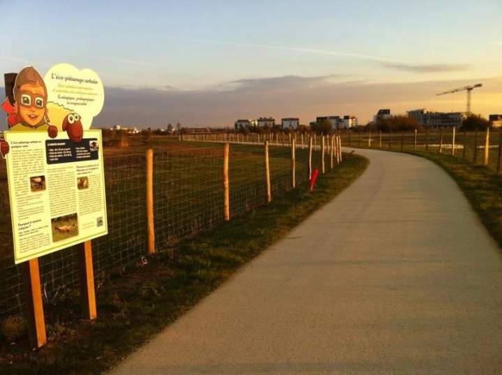 Installation de clôture Aubigné-sur-Layon