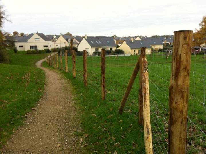 Fournisseur et réparateur de piquets en bois Aubigné-sur-Layon