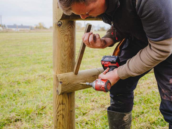 Clôtures éco-pâturage et herbagères – Aubigné-sur-Layon