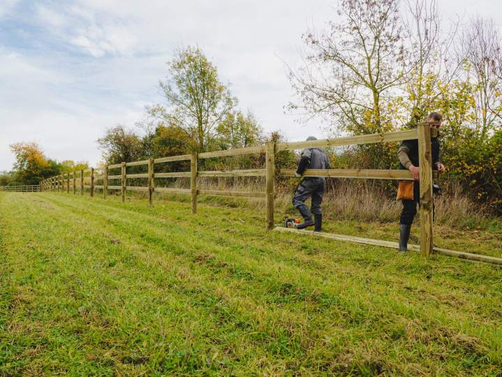 Clôtures éco-pâturage et herbagères – Aubigné-sur-Layon