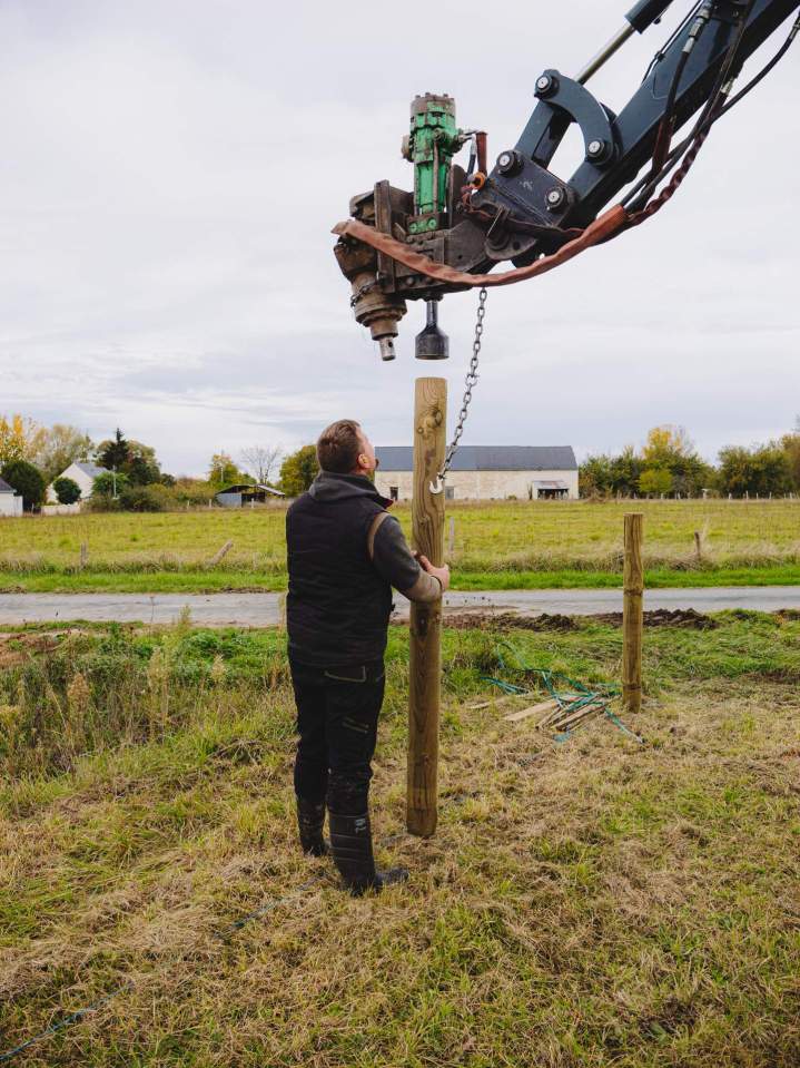 Clôtures éco-pâturage et herbagères – Aubigné-sur-Layon