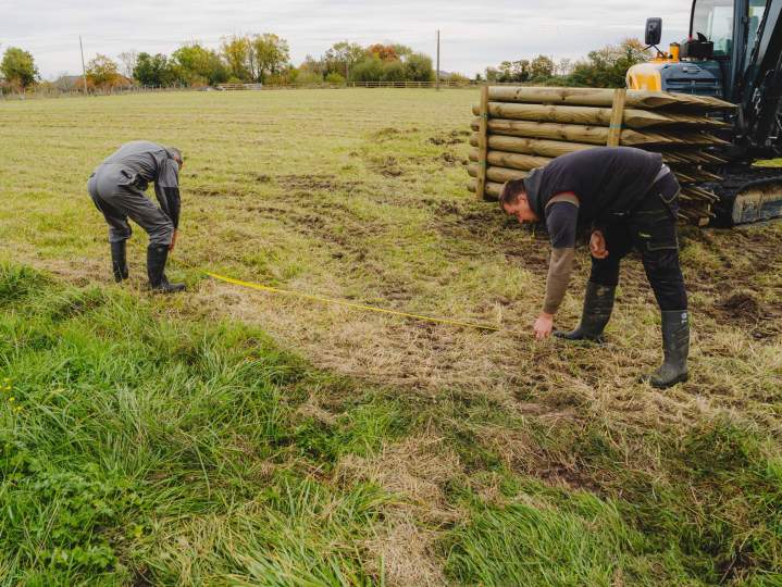 Clôtures éco-pâturage et herbagères – Aubigné-sur-Layon