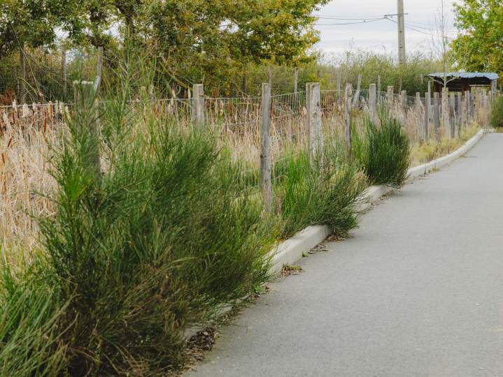 Installation clôture agricole dans le département du Maine-et-Loire