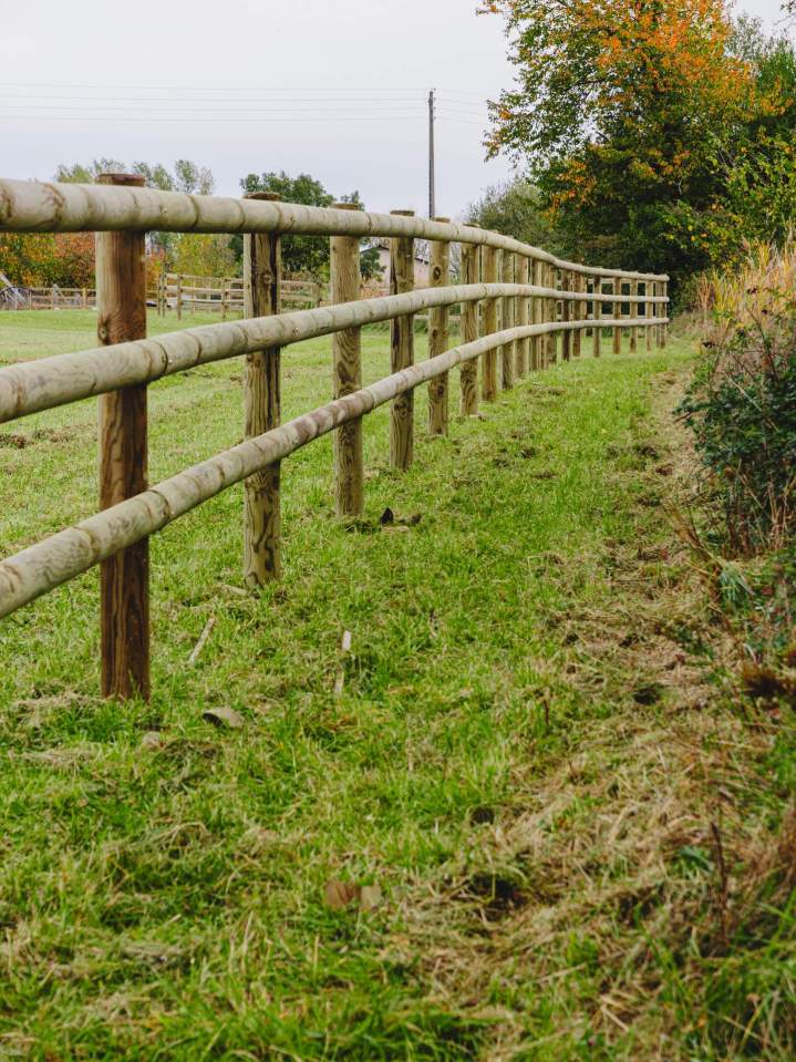 Clôtures éco-pâturage et herbagères – Aubigné-sur-Layon