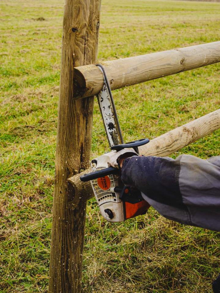 Clôtures éco-pâturage et herbagères – Aubigné-sur-Layon