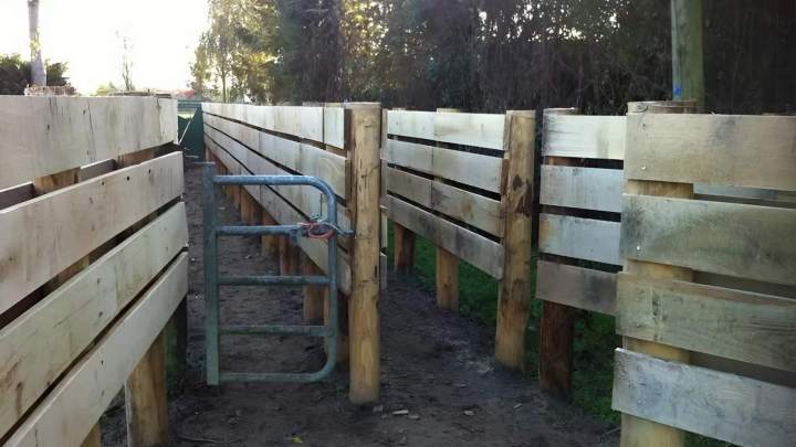 Fabricant et Vendeur de piquets en bois Maine-et-Loire